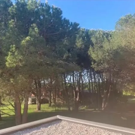 Ariadna