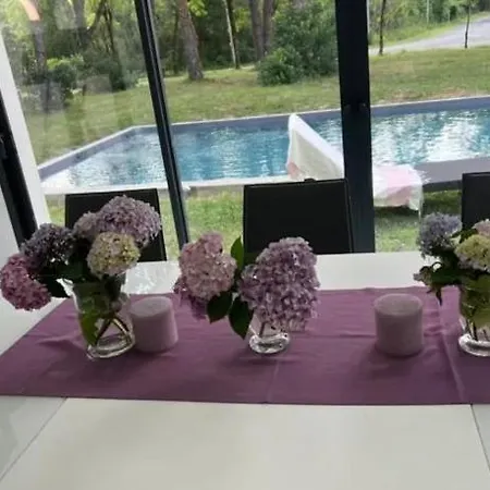Ariadna Villa
